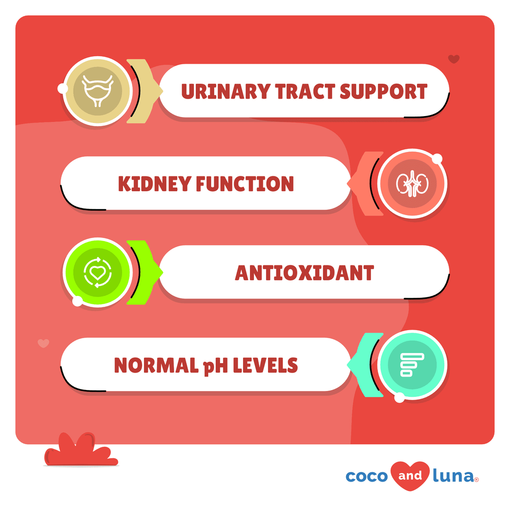 Coco and Luna Urinary Tract - Cranberry, Bladder Support, Dog UTI - 120 Tablets