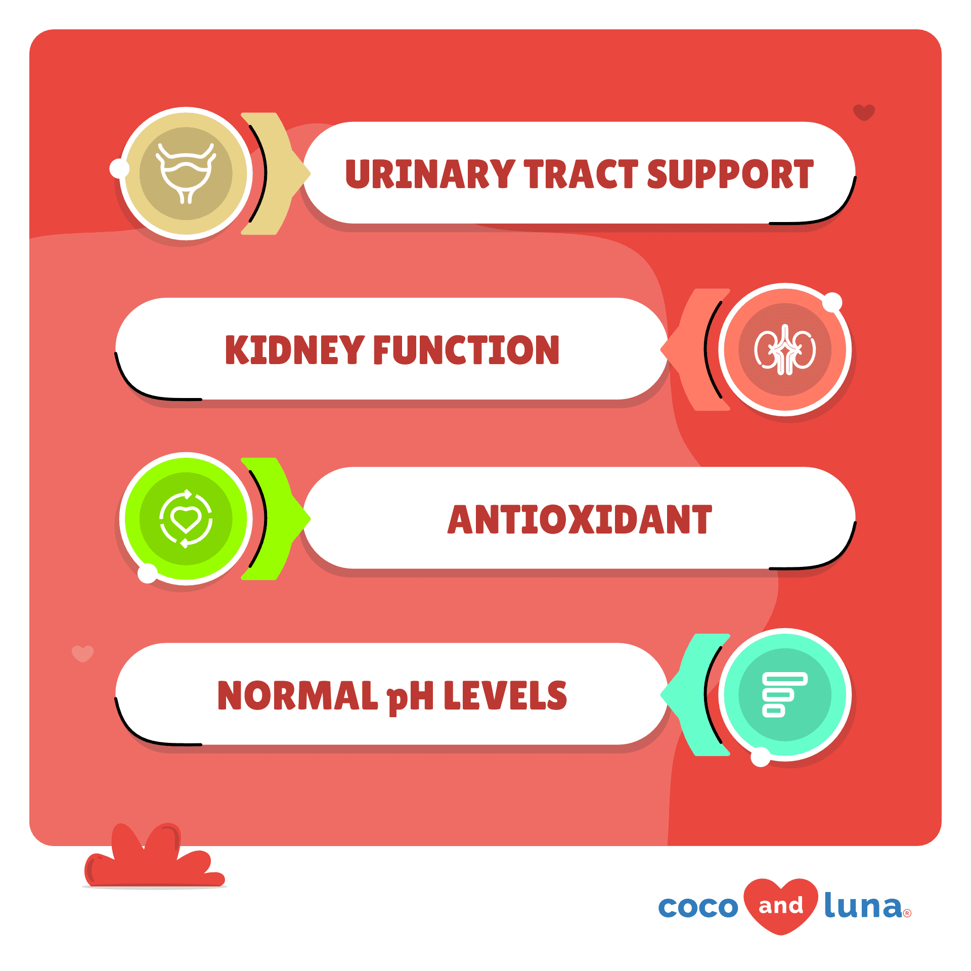 Coco and Luna Urinary Tract - Cranberry, Bladder Support, Dog UTI - 120 Tablets