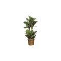 HomeStock Industrial Impressions 45In. Maranta Silk Plant