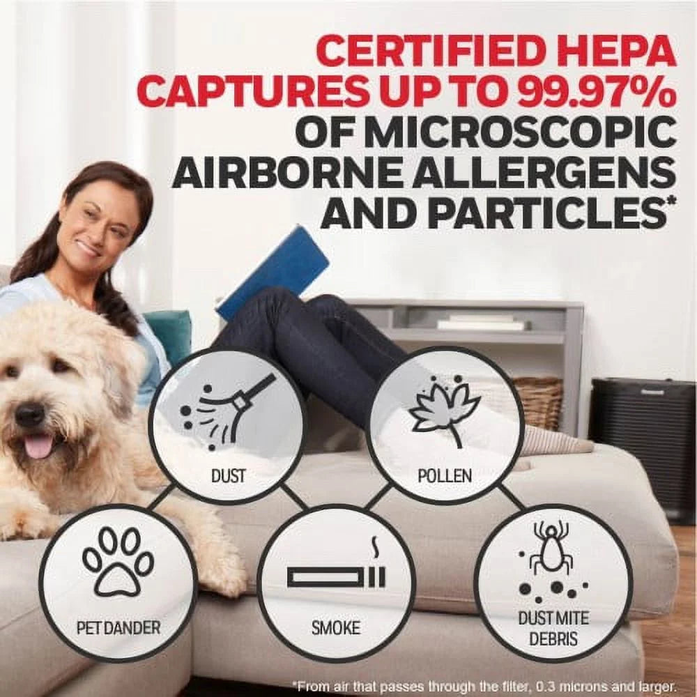 Honeywell HEPA Air Purifier R Filter, Each