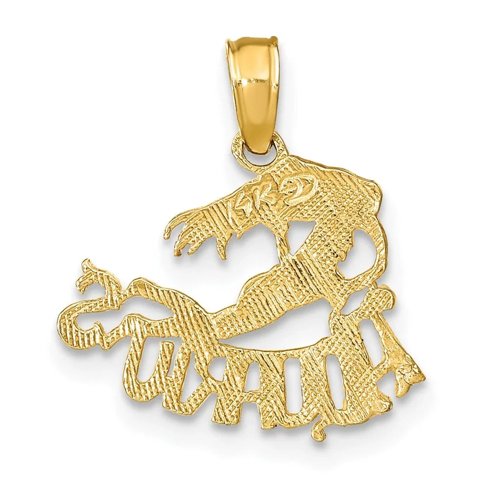 FJC Finejewelers 10 kt Yellow Gold AQUARIUS Zodiac Charm 17 x 16 mm
