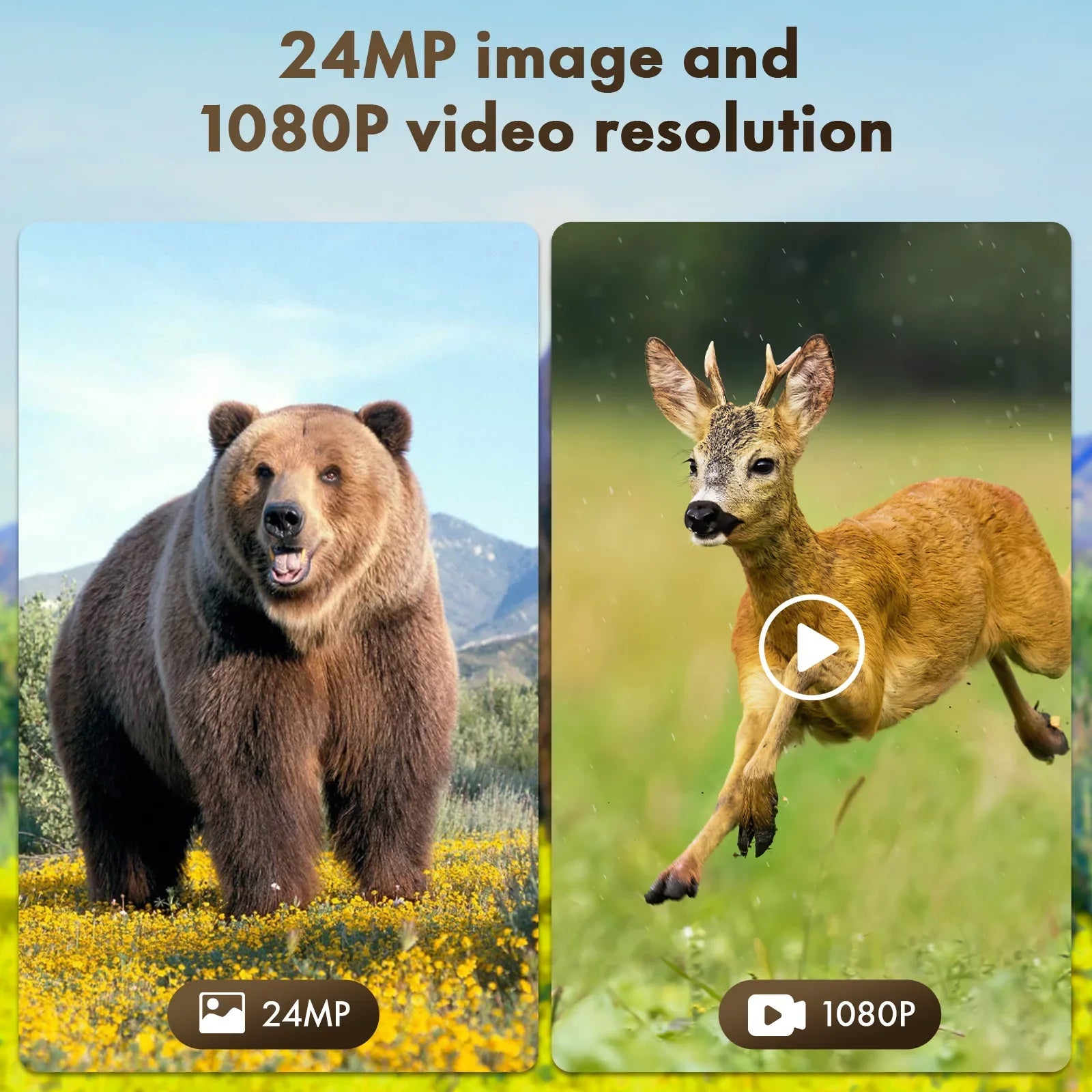 CAMPARK Solar Trail Camera 24MP 1080P 2500mAh Built-in Lithium Battery Rechargeable Game Camera with Night Vision Waterproof IP66 0.1s Trigger Speed 120°Wide Angle 2.0" LCD Hunting Cam with SD Card
