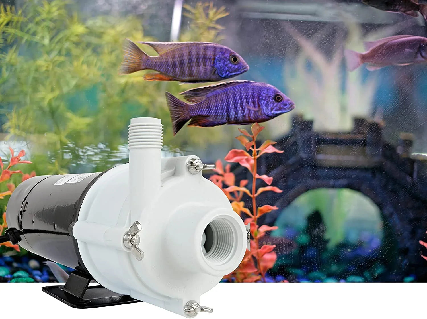 Little Giant 3-MDQX-SC 115-Volt, 1/15 HP, 1000 GPH, Magnetic Drive Aquarium Pump, 6-Ft. Cord, Dark 581507