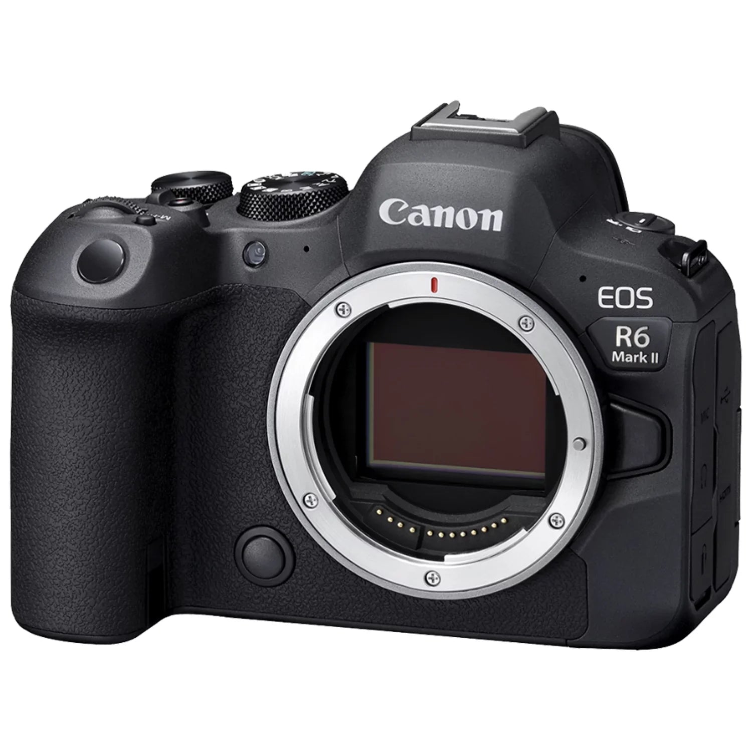 Canon EOS R6 Mark II Mirrorless Camera (Body) with SanDisk 64GB Memory Card + Case + LED Flash + ZeeTech Accessory Bundle