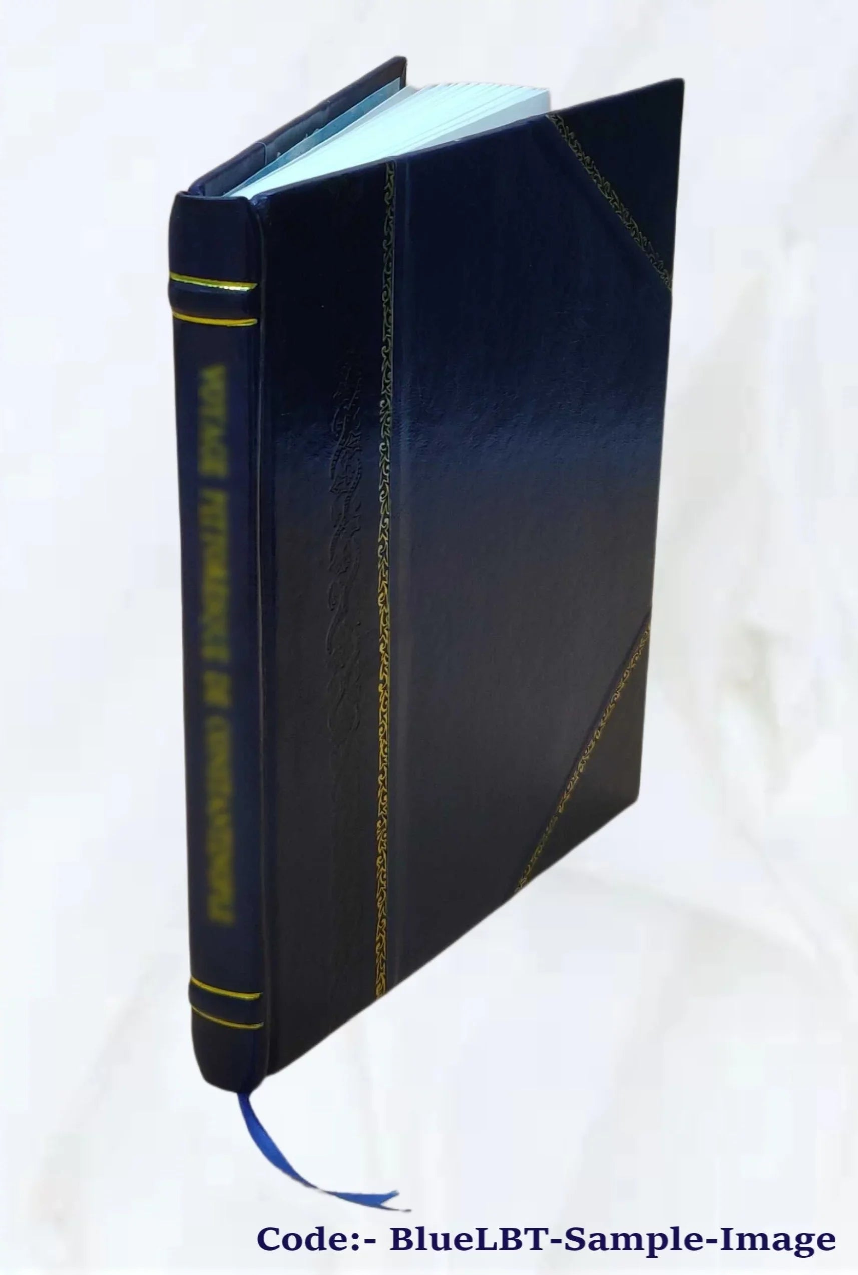Cost recovery in pricing and capacity decisions for automated information systems / James A. Dei Rossi ; sponsored by the National Science Foundation. 1975 [Leather Bound]
