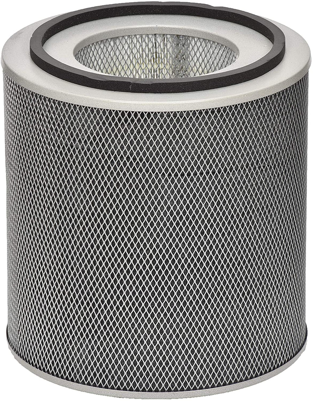 Austin Air FR400A Health-Mate Filter Air Purifier, Standard, 1 Ebony