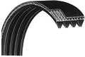 Landice Motor Drive Belt 22" Works L7 L8 L9 Commercial Treadmill