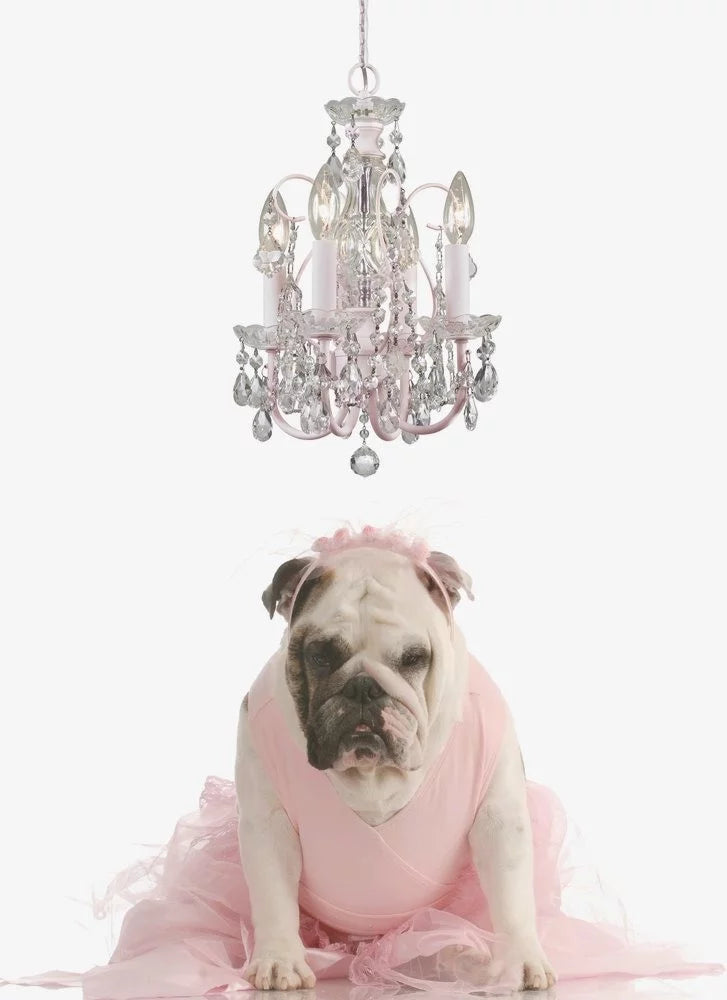 4 Light Mini Chandelier-Swarovski Spectra Crystal Type-Polished Chrome Finish -Traditional Installation Crystorama Lighting 3224-Ch-Cl-Saq