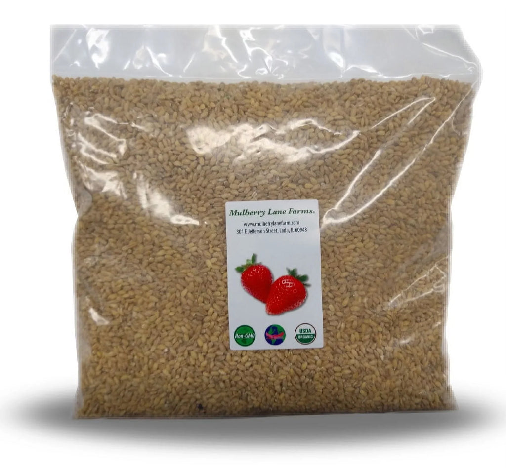 Pearled Barley, 5 lbs (five pounds), USDA Certified Organic, Non-GMO, packed bulk by Mulberry Lane Farms