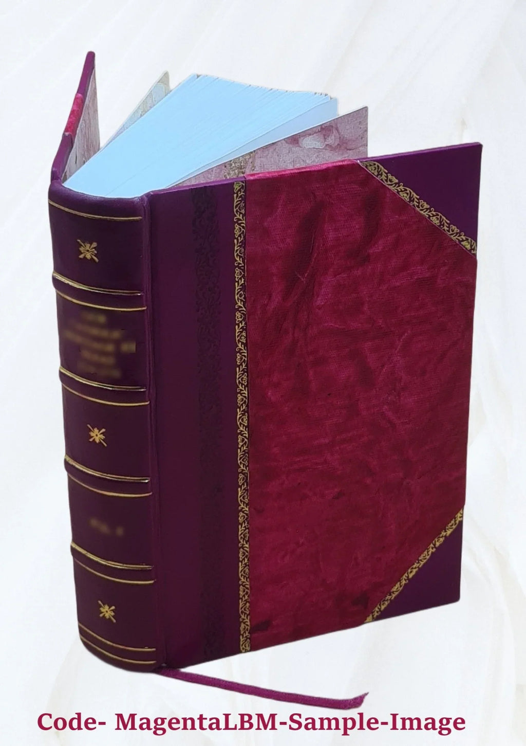 Reports from the Lords Committees Touching the Dignity of a Peer of the Realm, &c. &c. With Edge Vol. I-[V]. Volume v.2 1829 [Leather Bound]