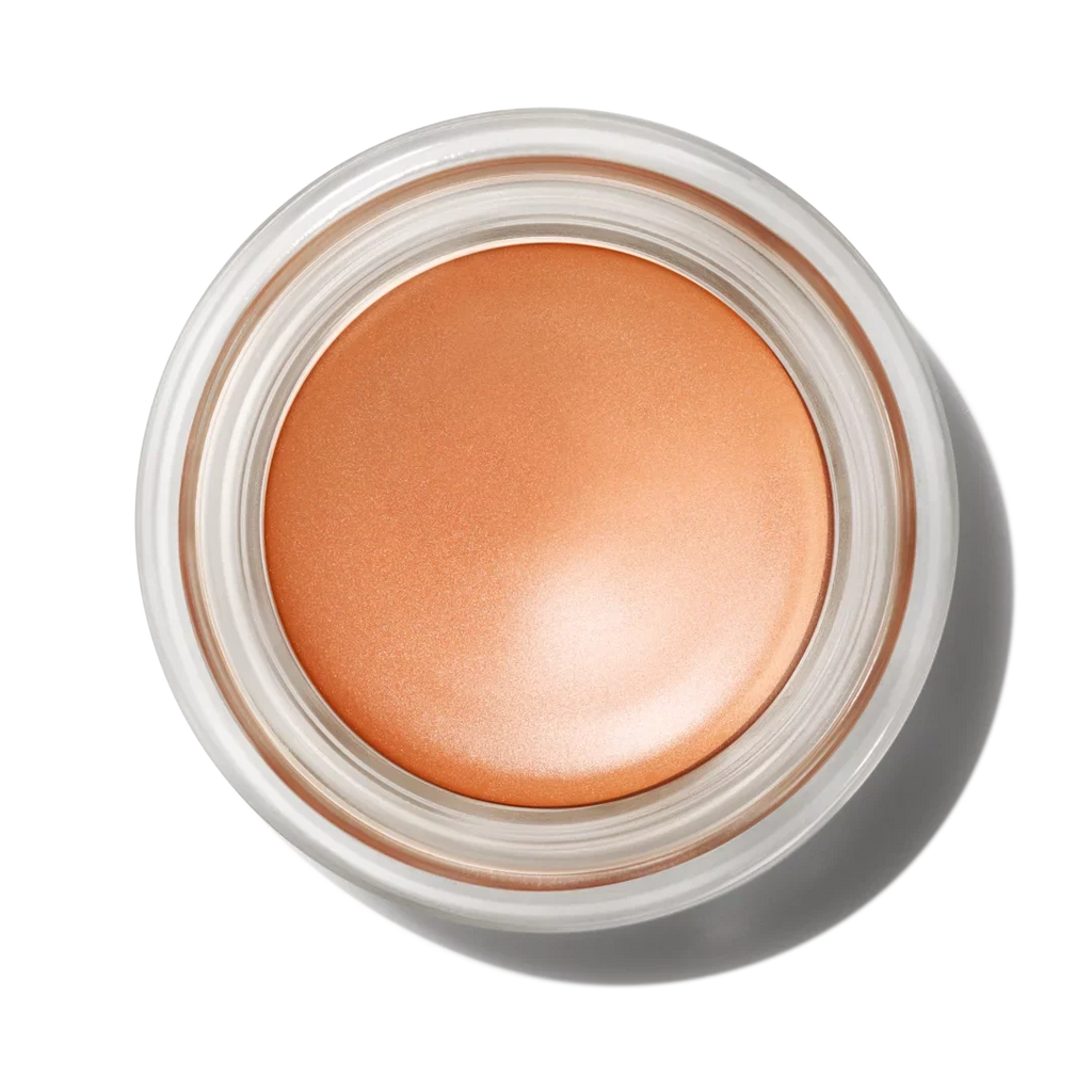 MAC COSMETICS PRO LONGWEAR EYE SHADOW LAYIN' LOW | MAC COSMETICS/PRO LONGWEAR PAINT POT |NET WT 0.17 OZ /5.Oml