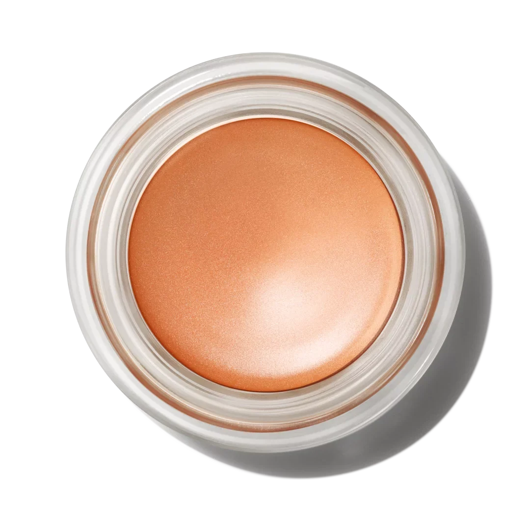 MAC COSMETICS PRO LONGWEAR EYE SHADOW LAYIN' LOW | MAC COSMETICS/PRO LONGWEAR PAINT POT |NET WT 0.17 OZ /5.Oml