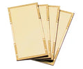 Radnor 2" X 4 1/4" Shade 8 Gold-Coated Polycarbonate Filter Plate (3 Pack)