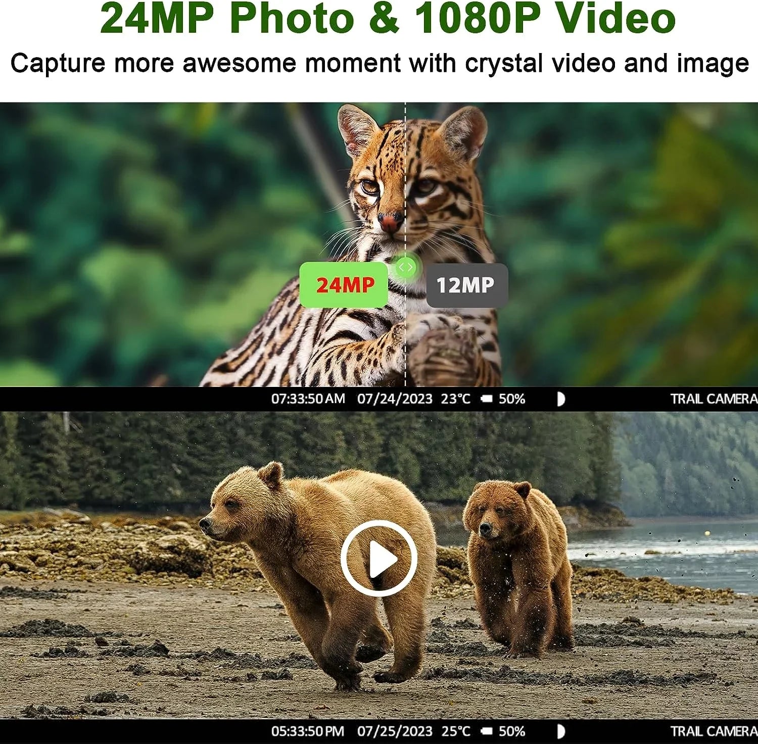CAMPARK 4G LTE Cellular Trail Camera Final Point Picture Video to Cell Phone - 24MP 1080P Game Hunting Camera with Night Vision Motion Activated Waterproof for Wildlife Monitoring Trail Cam with SD Card