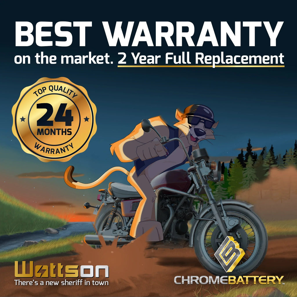Chrome Battery Yt14b-bs (14b-bs 12 Volts,12 Ah, 135 Cca) High Performace Power Sports Battery