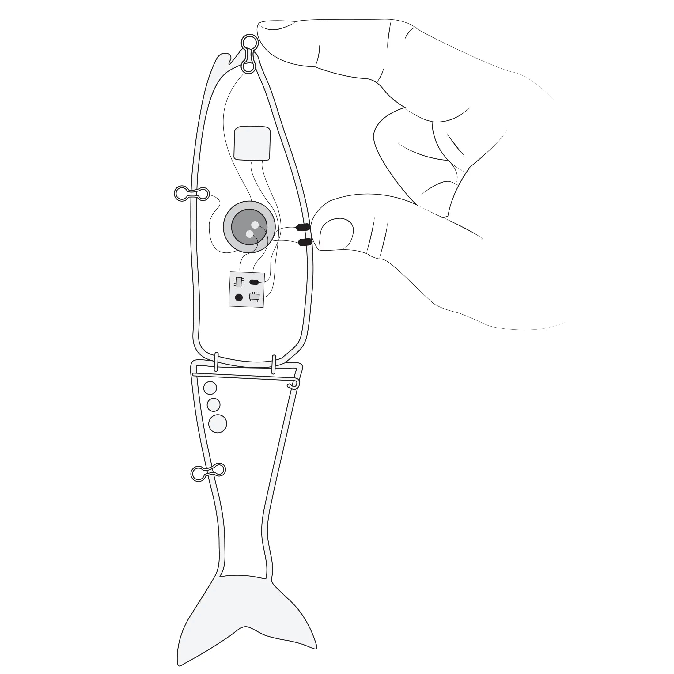 Livingston Lures B³ Venom 6 Swimbait Series-Speckled Trout