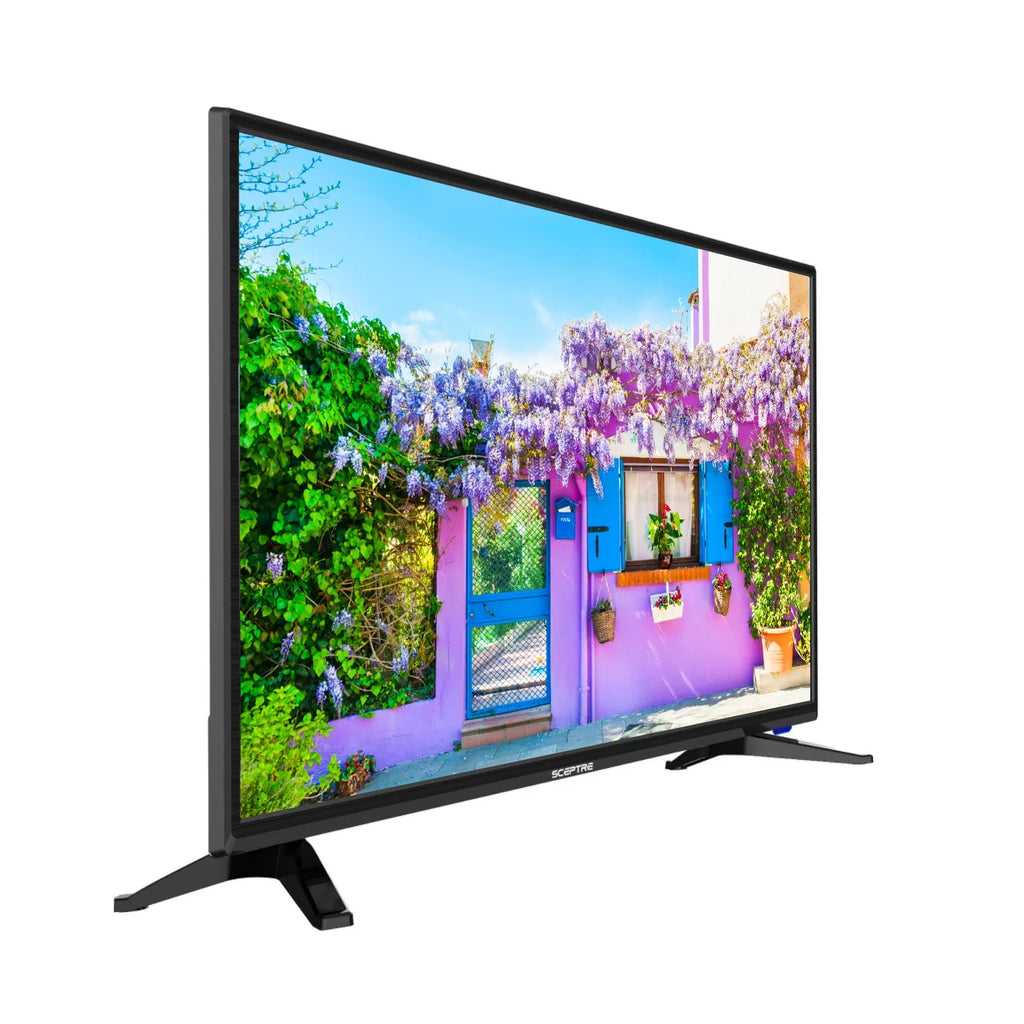 Sceptre 32" Class 720P HD LED TV with Built-in DVD Player E325BD-SR