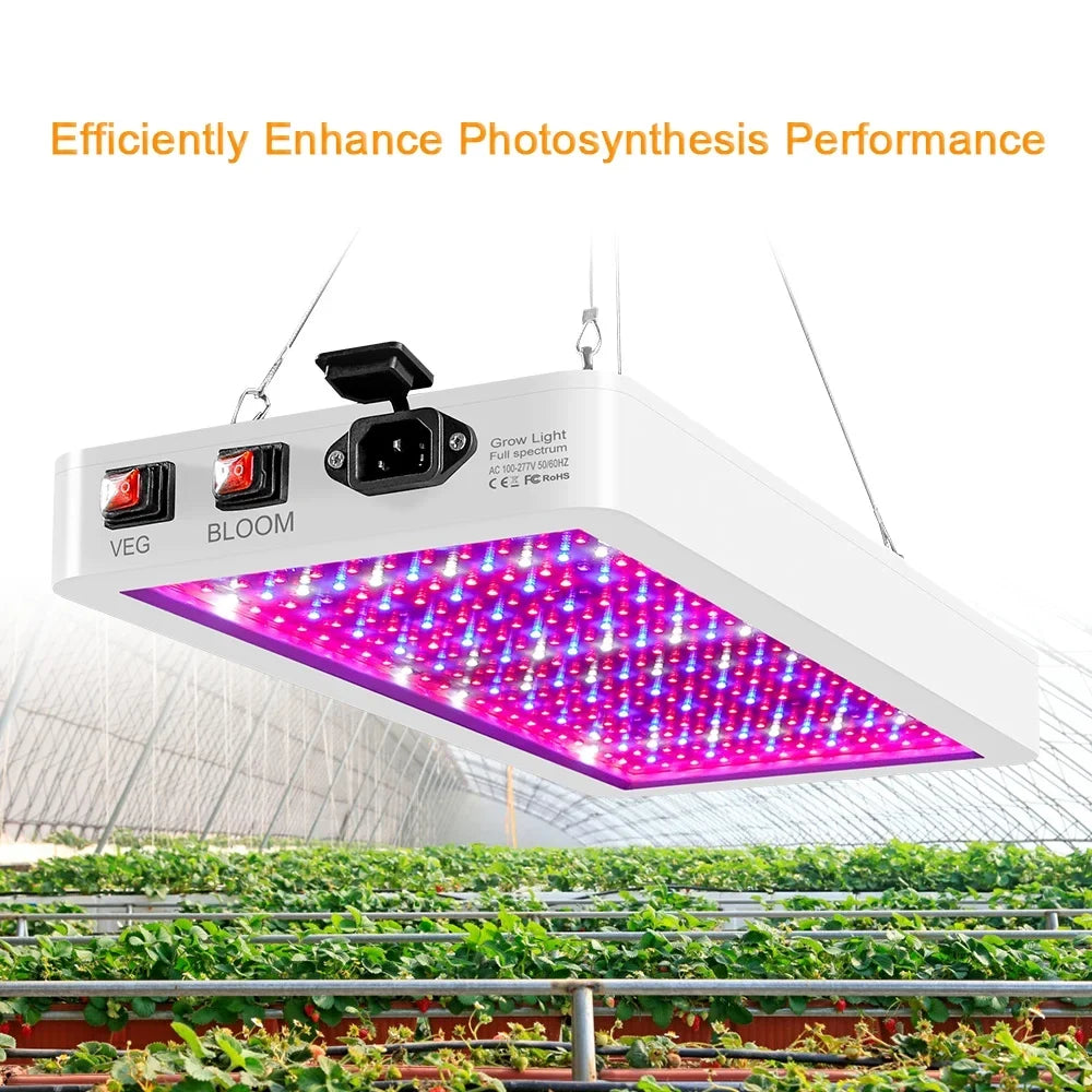 2000W LED Grow Light for Indoor Plants 312 LEDs Full Spectrum Veg and Bloom Dual Switch IP65 Waterproof Hanging Plant Growing Lamps for Seedlings Flowers Greenhouse
