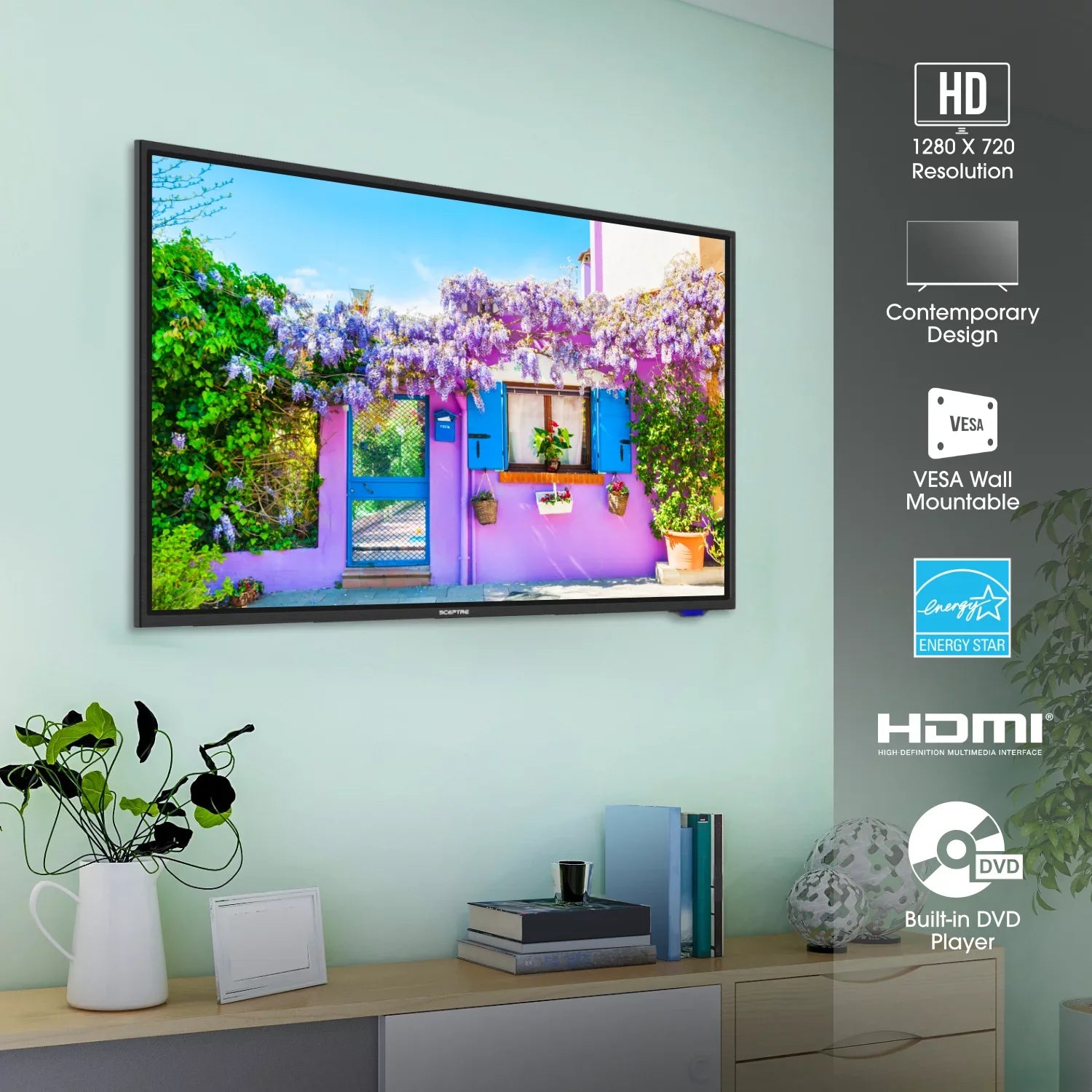 Sceptre 32" Class 720P HD LED TV with Built-in DVD Player E325BD-SR