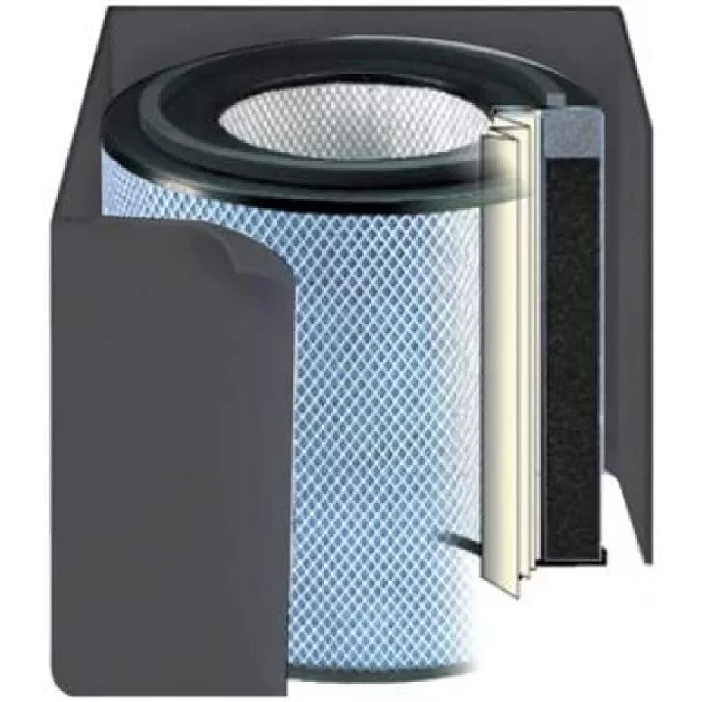 Austin Air FR400A Health-Mate Filter Air Purifier, Standard, 1 Ebony