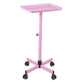 Bestauty Storage Shelf,Adjustable Salon Hair Color Wheels Movable Salon Wheels Tattoo Salon Pink Hair Wheels Salon Use Salon Clinic Spa Beauty Salon Clinic Professionals Wheels Tattoo Cart