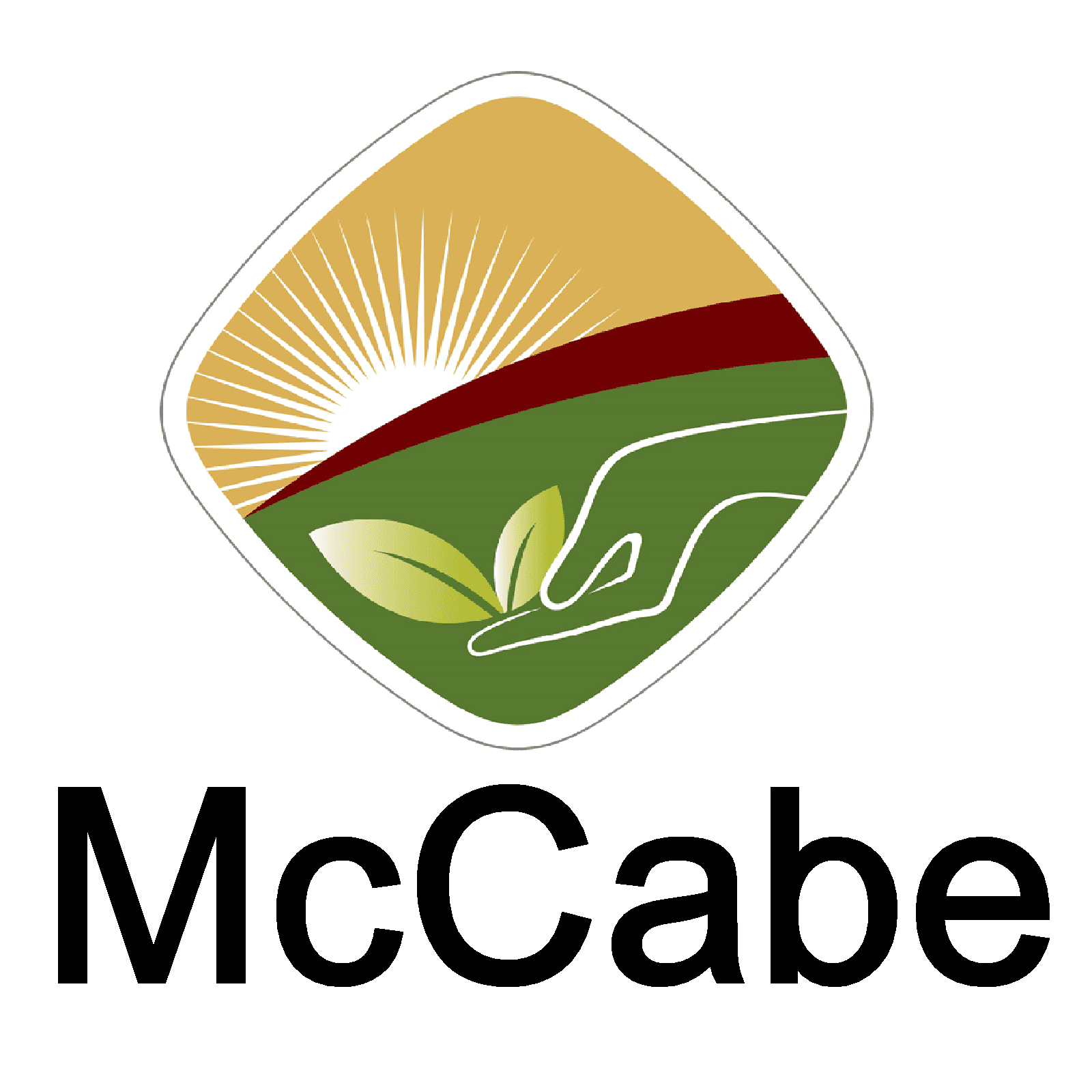 MCCABE ORGANIC PRESSED BARLEY | A WHOLESOME SUPERFOOD FOR YOUR WELL-BEING | |HIGH FIBER JAU 100% NATURAL & WHOLE GRAIN | INCREASE YOUR HEALTH WITH