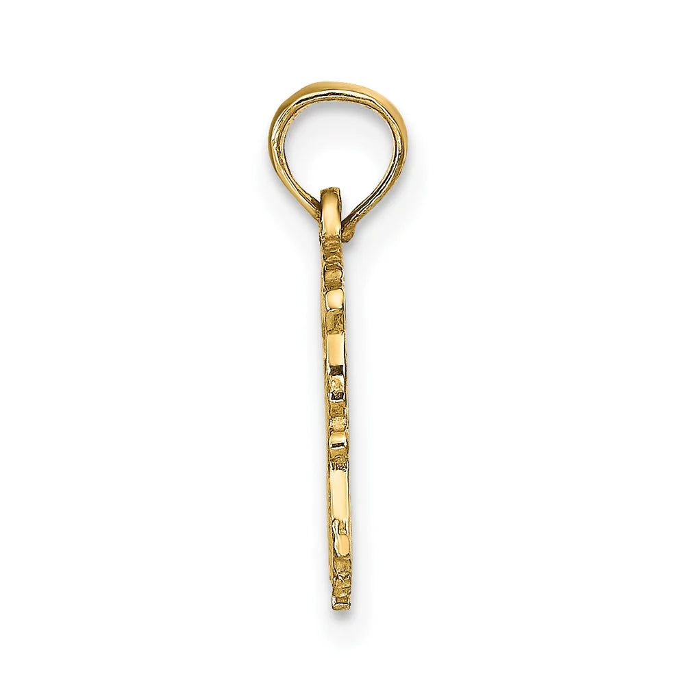 FJC Finejewelers 10 kt Yellow Gold AQUARIUS Zodiac Charm 17 x 16 mm