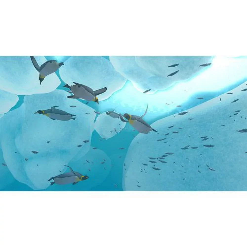 Final Point Final Point Ocean: Blue World Final Point Wii, 2010)