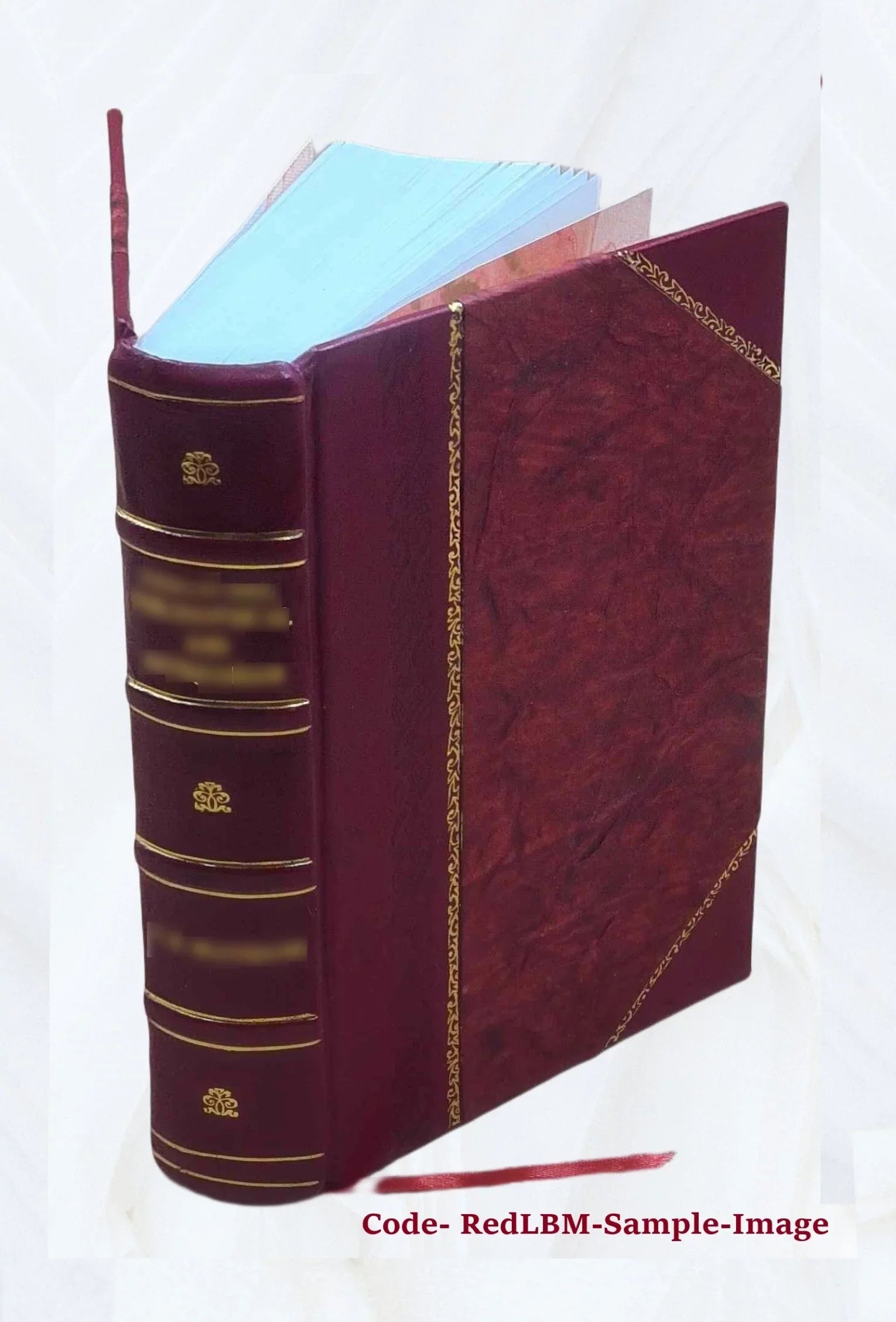 Reports from the Lords Committees Touching the Dignity of a Peer of the Realm, &c. &c. With Edge Vol. I-[V]. Volume v.2 1829 [Leather Bound]
