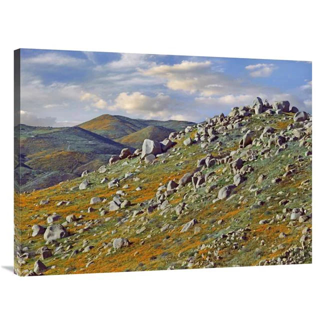 30 x 40 in. California Poppy Flowers in Rocky Grassland, Canyon Hills, Santa Ana Mountains, California Art Print - Tim Fitzharris