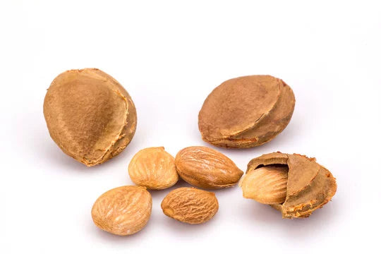 Apricot Kernel Oil Refined Organic Carrier Cold Pressed 100% Pure 64 oz