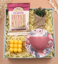 Pink Cup & Mehmet Edge Colombian Filter Coffee & Live Sukulent Flower & Orange Bubble Candle Gift Set